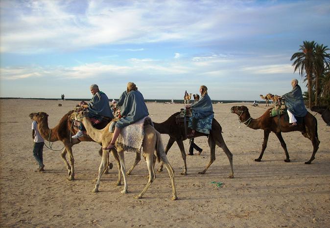 На верблюдах в Сахару