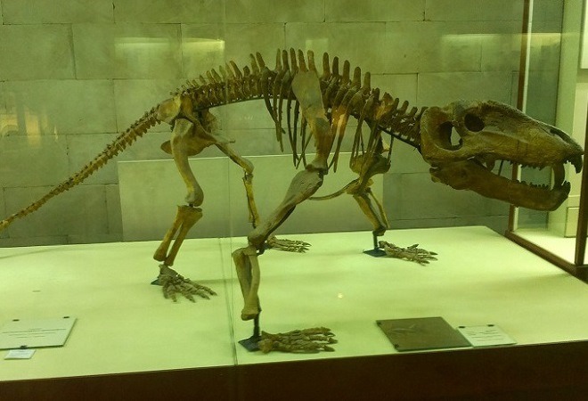 ekskursiya-v-muzej-dinozavry-iz-proshlogo
