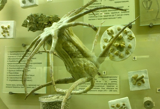 ekskursiya-v-muzej-dinozavry-iz-proshlogo